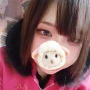 ダリア 19時まで 飾窓