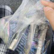 ヒメ日記 2026/04/12 15:15 投稿 ダリア 飾窓