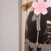 ダリア 今日明日しゅっきん！ 飾窓