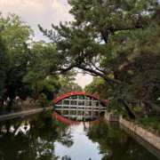 ヒメ日記 2025/08/02 16:50 投稿 えりか 逆電車ごっこ ～GLAMOROUS TRAIN～