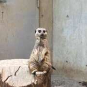 ヒメ日記 2025/08/11 08:20 投稿 えりか 逆電車ごっこ ～GLAMOROUS TRAIN～