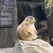 ヒメ日記 2025/09/18 00:22 投稿 えりか 逆電車ごっこ ～GLAMOROUS TRAIN～