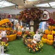 ヒメ日記 2025/09/29 01:00 投稿 えりか 逆電車ごっこ ～GLAMOROUS TRAIN～