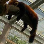 ヒメ日記 2025/09/29 21:40 投稿 えりか 逆電車ごっこ ～GLAMOROUS TRAIN～