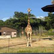 ヒメ日記 2025/10/29 22:10 投稿 えりか 逆電車ごっこ ～GLAMOROUS TRAIN～