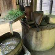 ヒメ日記 2025/11/16 00:50 投稿 えりか 逆電車ごっこ ～GLAMOROUS TRAIN～