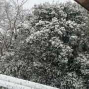 ヒメ日記 2026/02/08 16:24 投稿 えりか 逆電車ごっこ ～GLAMOROUS TRAIN～