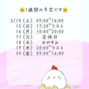 ヒメ日記 2026/03/13 13:00 投稿 えりか 逆電車ごっこ ～GLAMOROUS TRAIN～