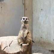 ヒメ日記 2026/03/28 22:00 投稿 えりか 逆電車ごっこ ～GLAMOROUS TRAIN～