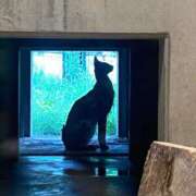 ヒメ日記 2026/04/02 00:20 投稿 えりか 逆電車ごっこ ～GLAMOROUS TRAIN～