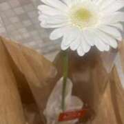 ヒメ日記 2025/12/10 20:56 投稿 さゆき スピードエコ梅田店