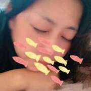 ヒメ日記 2025/08/15 07:30 投稿 ゆず 奥鉄オクテツ奈良