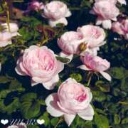 ヒメ日記 2025/10/08 10:19 投稿 ユメ ぽっちゃり巨乳美女専門川越ちゃんこ