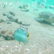 ヒメ日記 2025/10/20 05:09 投稿 ユメ ぽっちゃり巨乳美女専門川越ちゃんこ