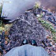 ヒメ日記 2025/10/29 12:31 投稿 ユメ ぽっちゃり巨乳美女専門川越ちゃんこ