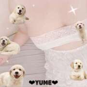 ヒメ日記 2025/10/29 20:30 投稿 ユメ ぽっちゃり巨乳美女専門川越ちゃんこ