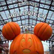 ヒメ日記 2025/11/01 18:45 投稿 ユメ ぽっちゃり巨乳美女専門川越ちゃんこ