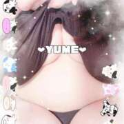 ヒメ日記 2025/11/09 04:47 投稿 ユメ ぽっちゃり巨乳美女専門川越ちゃんこ