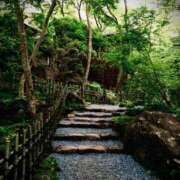 ヒメ日記 2025/11/10 03:25 投稿 ユメ ぽっちゃり巨乳美女専門川越ちゃんこ