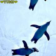 ヒメ日記 2025/11/18 04:24 投稿 ユメ ぽっちゃり巨乳美女専門川越ちゃんこ