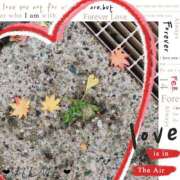 ヒメ日記 2025/11/21 03:48 投稿 ユメ ぽっちゃり巨乳美女専門川越ちゃんこ