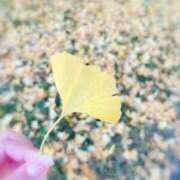 ヒメ日記 2025/11/25 02:53 投稿 ユメ ぽっちゃり巨乳美女専門川越ちゃんこ