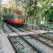 ヒメ日記 2025/11/29 12:04 投稿 ユメ ぽっちゃり巨乳美女専門川越ちゃんこ