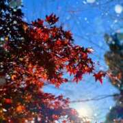 ヒメ日記 2025/12/10 16:30 投稿 ユメ ぽっちゃり巨乳美女専門川越ちゃんこ