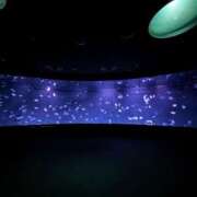 ヒメ日記 2025/12/12 03:17 投稿 ユメ ぽっちゃり巨乳美女専門川越ちゃんこ