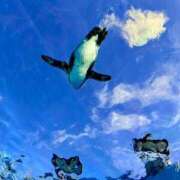 ヒメ日記 2025/12/12 12:31 投稿 ユメ ぽっちゃり巨乳美女専門川越ちゃんこ