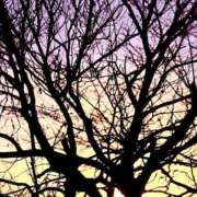 ヒメ日記 2025/12/20 07:23 投稿 ユメ ぽっちゃり巨乳美女専門川越ちゃんこ