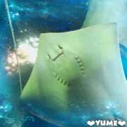 ヒメ日記 2025/12/22 05:42 投稿 ユメ ぽっちゃり巨乳美女専門川越ちゃんこ