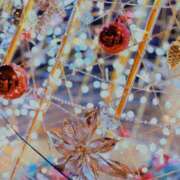 ヒメ日記 2026/01/21 03:21 投稿 ユメ ぽっちゃり巨乳美女専門川越ちゃんこ