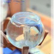 ヒメ日記 2026/02/07 04:07 投稿 ユメ ぽっちゃり巨乳美女専門川越ちゃんこ