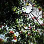 ヒメ日記 2026/02/17 03:57 投稿 ユメ ぽっちゃり巨乳美女専門川越ちゃんこ