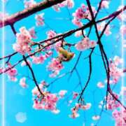 ヒメ日記 2026/03/10 03:31 投稿 ユメ ぽっちゃり巨乳美女専門川越ちゃんこ