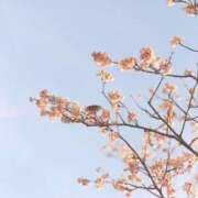 ヒメ日記 2026/03/21 05:01 投稿 ユメ ぽっちゃり巨乳美女専門川越ちゃんこ