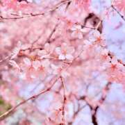 ヒメ日記 2026/03/30 04:08 投稿 ユメ ぽっちゃり巨乳美女専門川越ちゃんこ