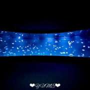 ヒメ日記 2026/04/09 04:30 投稿 ユメ ぽっちゃり巨乳美女専門川越ちゃんこ