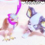 ヒメ日記 2026/04/27 03:42 投稿 ユメ ぽっちゃり巨乳美女専門川越ちゃんこ