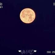 ヒメ日記 2026/04/30 03:49 投稿 ユメ ぽっちゃり巨乳美女専門川越ちゃんこ