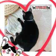 ヒメ日記 2026/09/07 02:28 投稿 ユメ ぽっちゃり巨乳美女専門川越ちゃんこ
