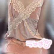 ヒメ日記 2025/12/22 15:37 投稿 うさぎ トリプルA