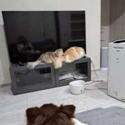 ヒメ日記 2025/12/10 10:59 投稿 ななは 完熟ばなな 谷九店