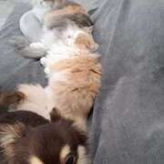 ヒメ日記 2026/01/28 11:19 投稿 ななは 完熟ばなな 谷九店