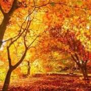 ヒメ日記 2025/11/01 06:53 投稿 柳　かえで OLピンクコレクション