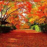 ヒメ日記 2025/11/02 07:23 投稿 柳　かえで OLピンクコレクション