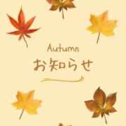 ヒメ日記 2025/11/18 22:23 投稿 柳　かえで OLピンクコレクション
