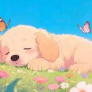 ヒメ日記 2025/12/13 13:53 投稿 柳　かえで OLピンクコレクション