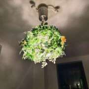 ヒメ日記 2026/04/02 01:29 投稿 柳　かえで OLピンクコレクション